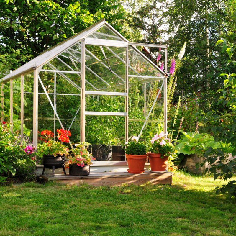 Greenhouse Glass Belfast