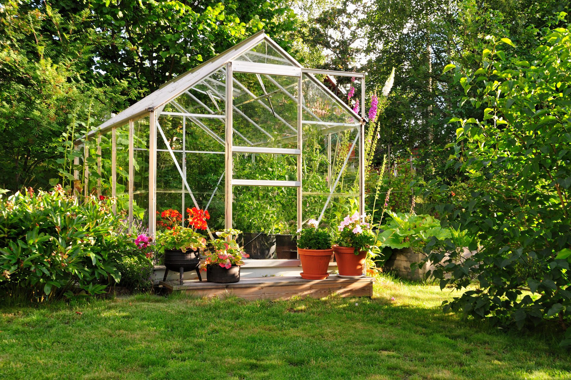 Looking for Greenhouse Glass Replacement in Belfast or Northern Ireland?