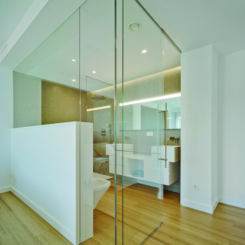 Frameless Glass Partitions
