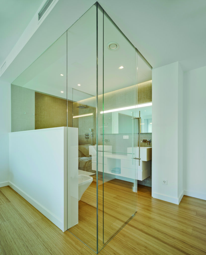 Frameless Glass Partitions